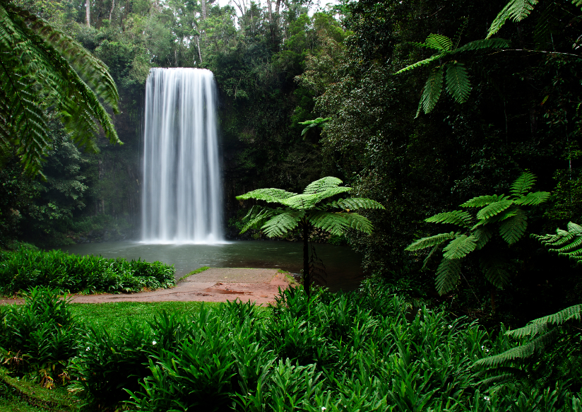Cairns – Tropical North Queensland, photograph 2